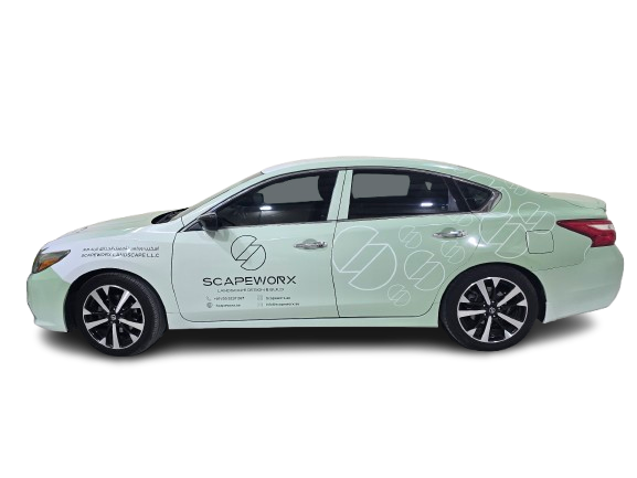 20251023 182226 Removebg Preview